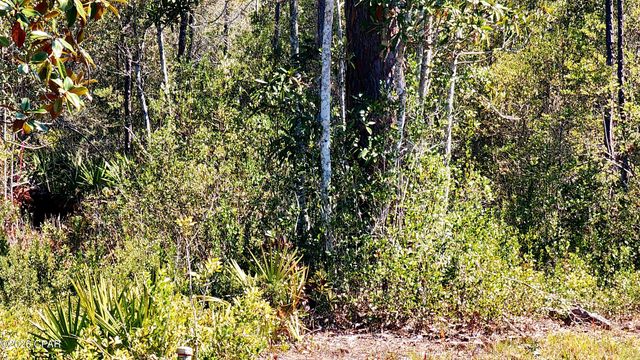 917 Watermark Way, Panama City, FL 32404