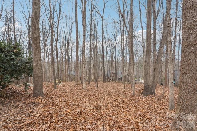 11655 Terrill Ridge Drive, Davidson, NC 28036