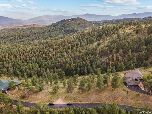 13817 Gordon Ct, Pine, CO 80470