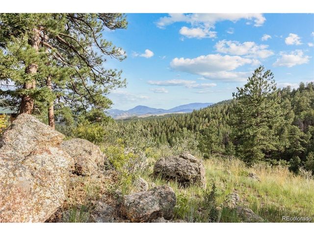 13817 Gordon Ct, Pine, CO 80470