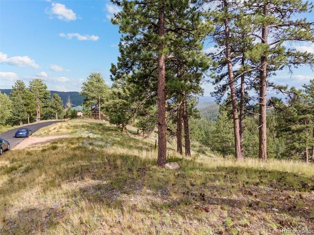 13817 Gordon Ct, Pine, CO 80470