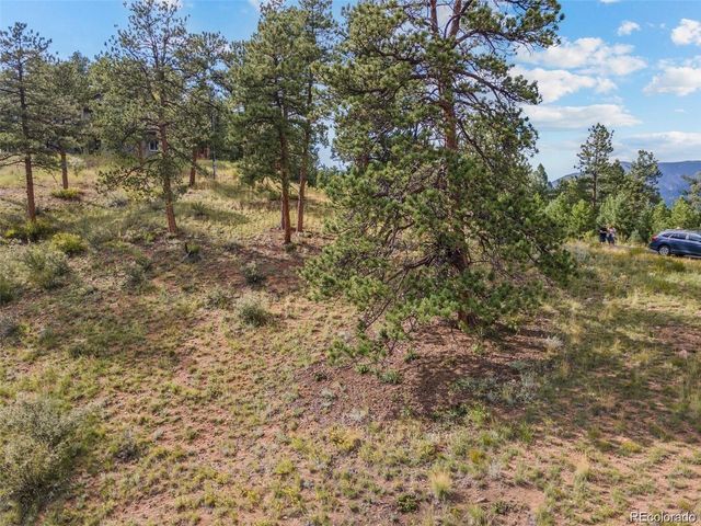13817 Gordon Ct, Pine, CO 80470