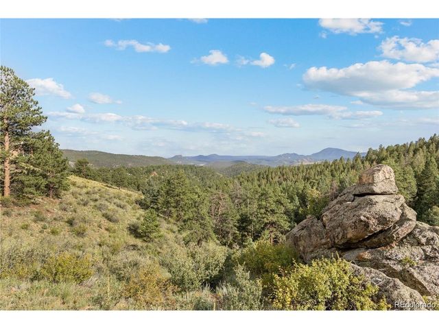 13817 Gordon Ct, Pine, CO 80470