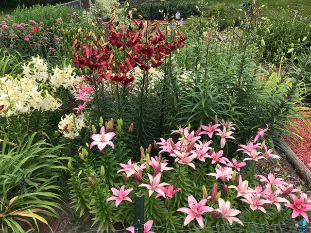 1120 N Summit Ave Avenue, Sioux Falls, SD 57104