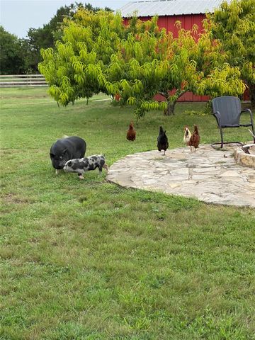 255 Glasscock RD, Liberty Hill, TX 78642