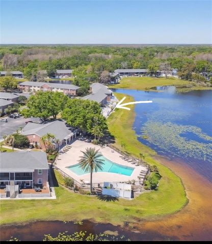 13734 ORANGE SUNSET DRIVE, Tampa, FL 33618