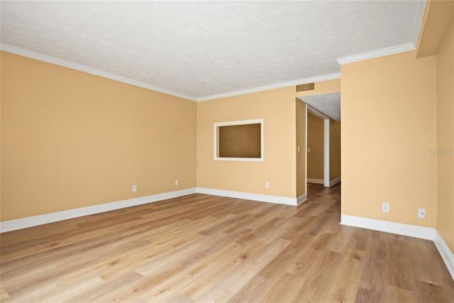 13734 ORANGE SUNSET DRIVE, Tampa, FL 33618