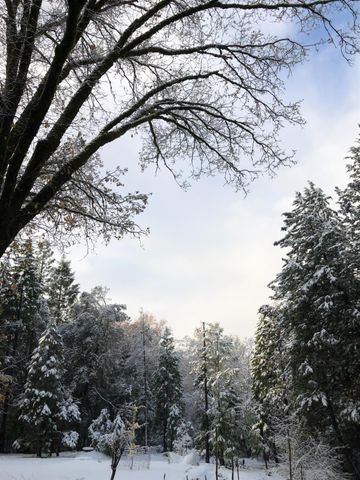 26070-26080 Green Acres Rd, Colfax, CA 95713