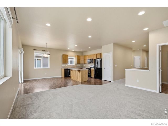 3858 Eucalyptus Street, Wellington, CO 80549