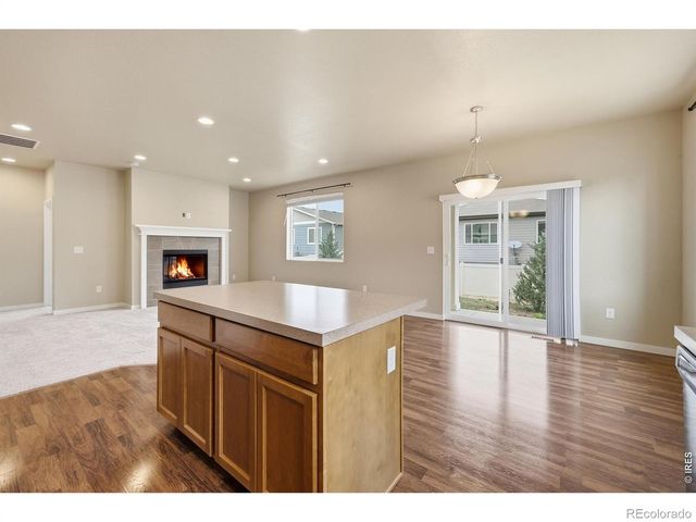 3858 Eucalyptus Street, Wellington, CO 80549