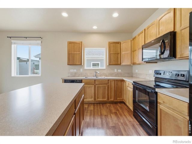 3858 Eucalyptus Street, Wellington, CO 80549