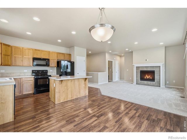 3858 Eucalyptus Street, Wellington, CO 80549