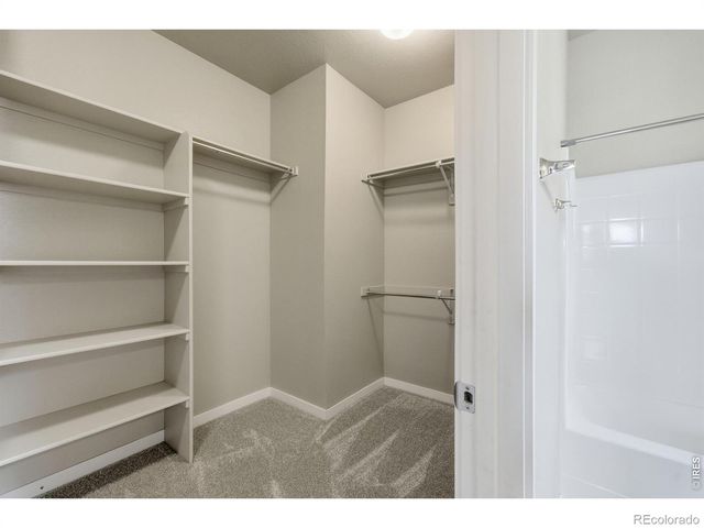 3858 Eucalyptus Street, Wellington, CO 80549