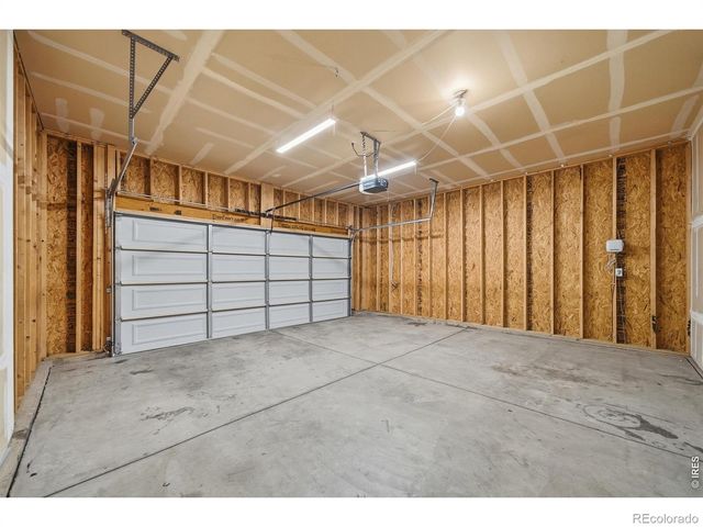 3858 Eucalyptus Street, Wellington, CO 80549