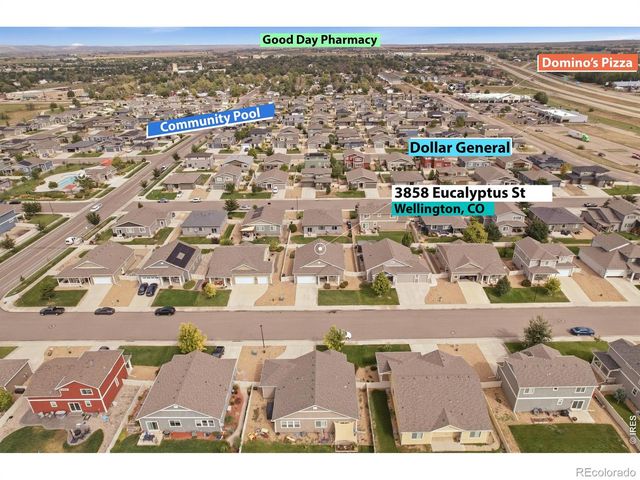 3858 Eucalyptus Street, Wellington, CO 80549