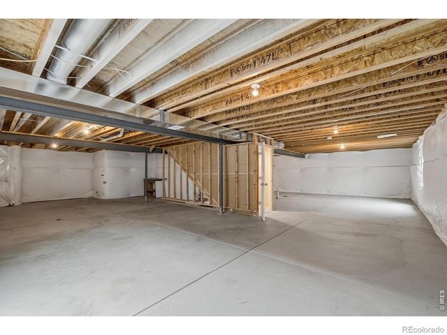 3858 Eucalyptus Street, Wellington, CO 80549