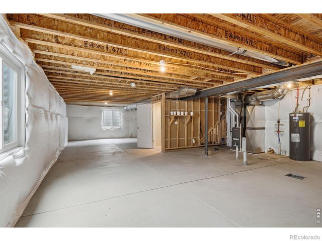 3858 Eucalyptus Street, Wellington, CO 80549
