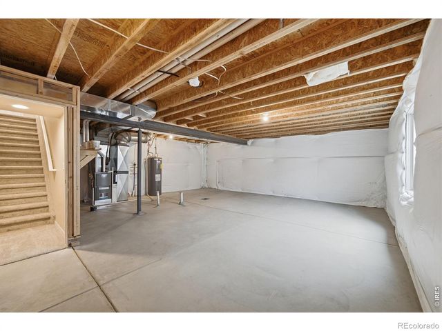 3858 Eucalyptus Street, Wellington, CO 80549