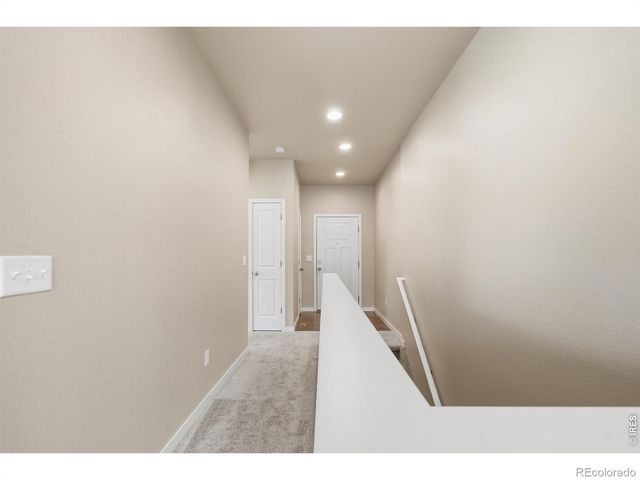 3858 Eucalyptus Street, Wellington, CO 80549