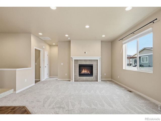 3858 Eucalyptus Street, Wellington, CO 80549