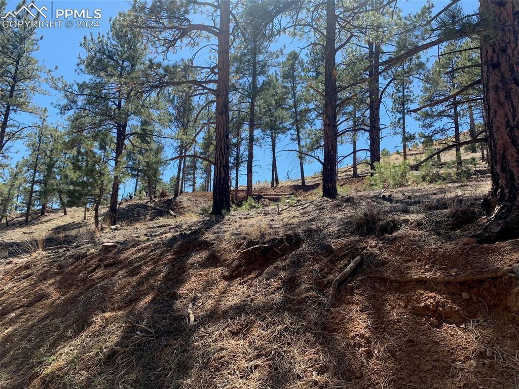 15421 Westcreek Road, Woodland Park, CO 80863 — exterior