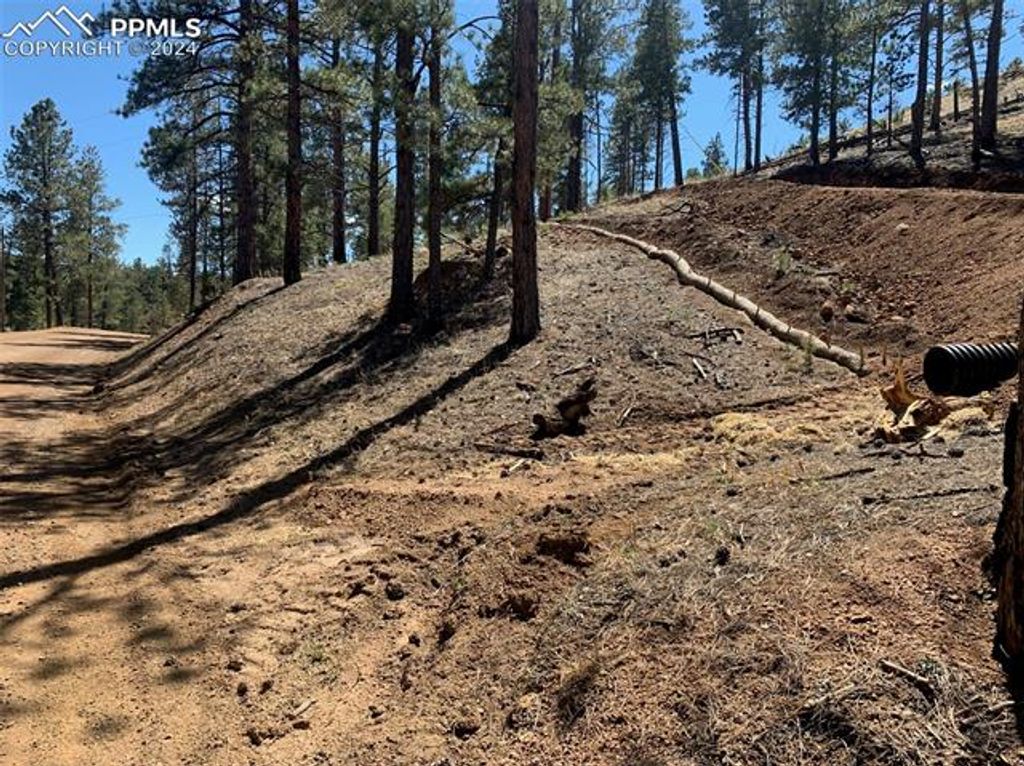 15421 Westcreek Road, Woodland Park, CO 80863 — photo 2