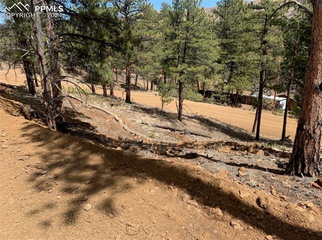 15421 Westcreek Road, Woodland Park, CO 80863 — photo 5