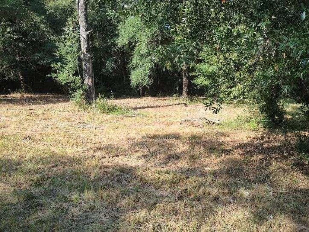 4710 John Sims Road E, Wilmer, AL 36587 — exterior