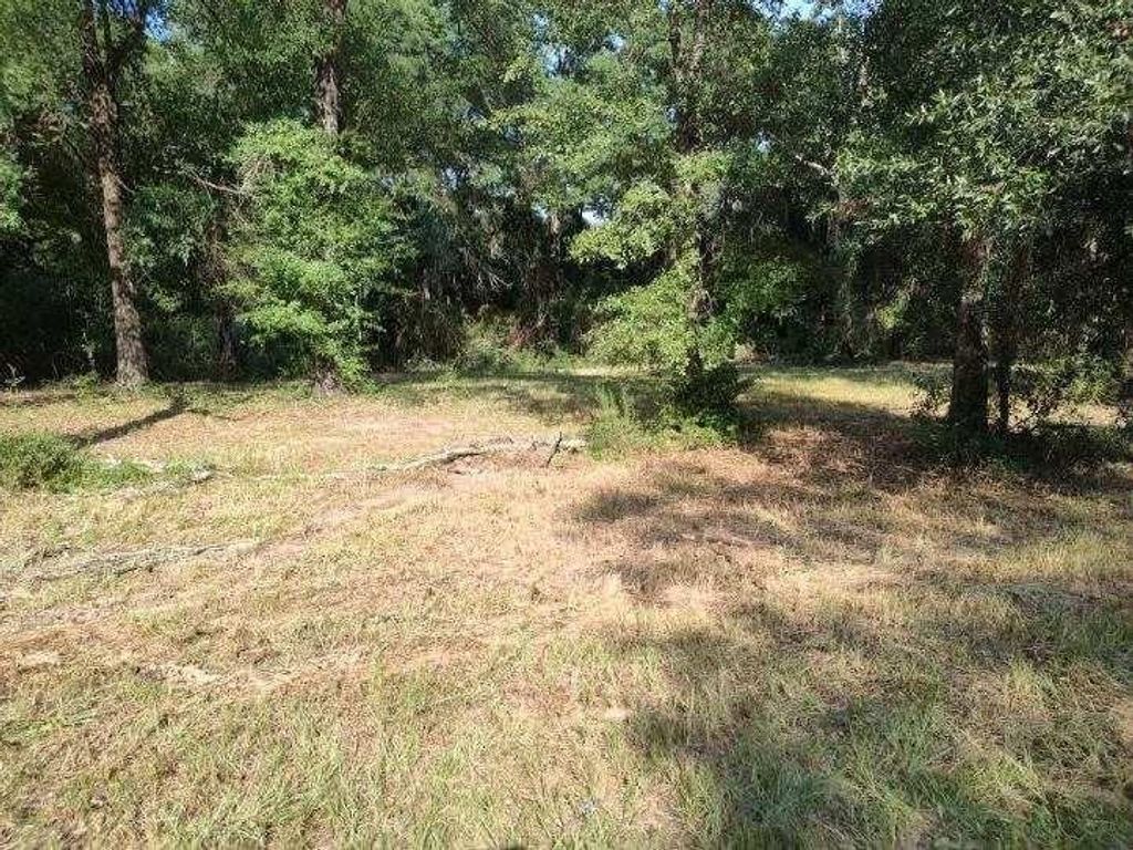 4710 John Sims Road E, Wilmer, AL 36587 — photo 2