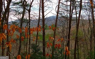 20 AC Hidaway Drive, Ellijay, GA 30536