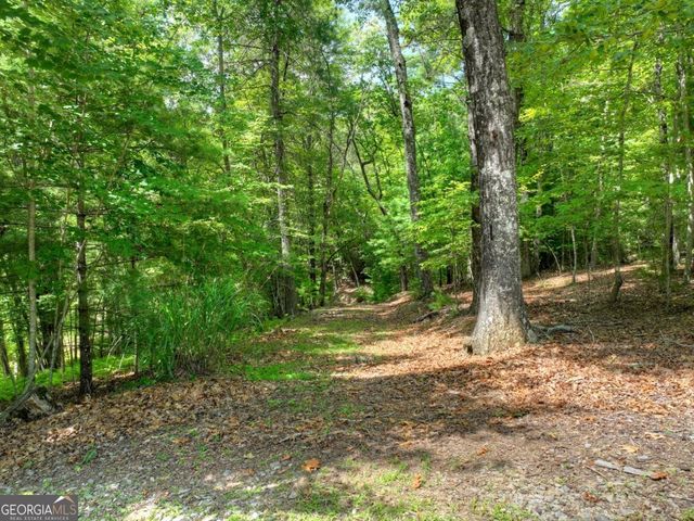 LOT 68 Riverwalk On The Toc 68, Mineral Bluff, GA 30559
