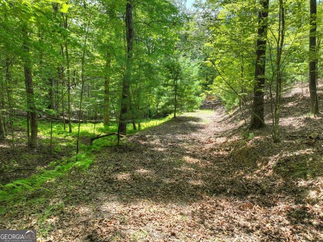 LOT 68 Riverwalk On The Toc 68, Mineral Bluff, GA 30559