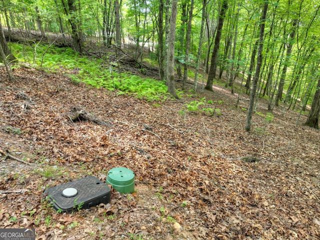 LOT 68 Riverwalk On The Toc 68, Mineral Bluff, GA 30559