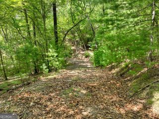 LOT 68 Riverwalk On The Toc 68, Mineral Bluff, GA 30559