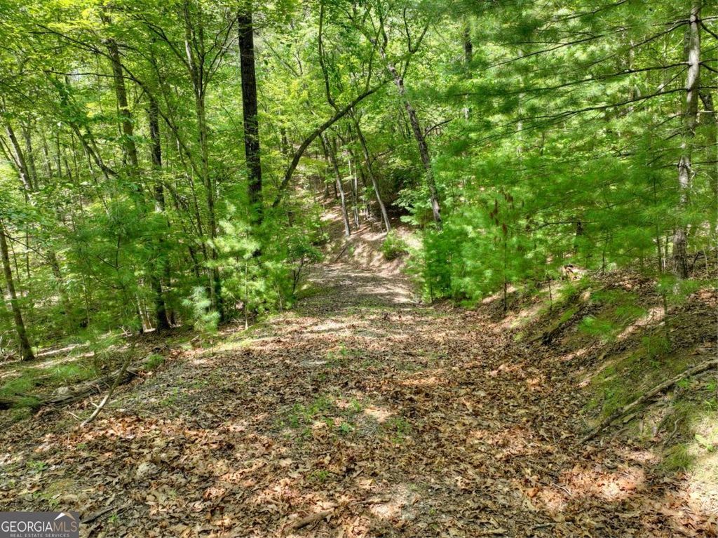 LOT 68 Riverwalk On The Toc 68, Mineral Bluff, GA 30559
