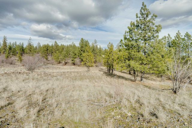 6XXX Pine Ridge Dr, Nine Mile Falls, WA 99026