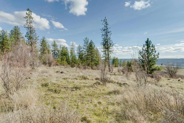 6XXX Pine Ridge Dr, Nine Mile Falls, WA 99026