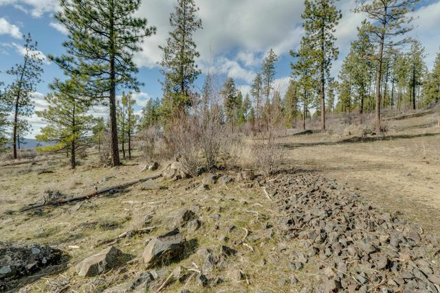 6XXX Pine Ridge Dr, Nine Mile Falls, WA 99026