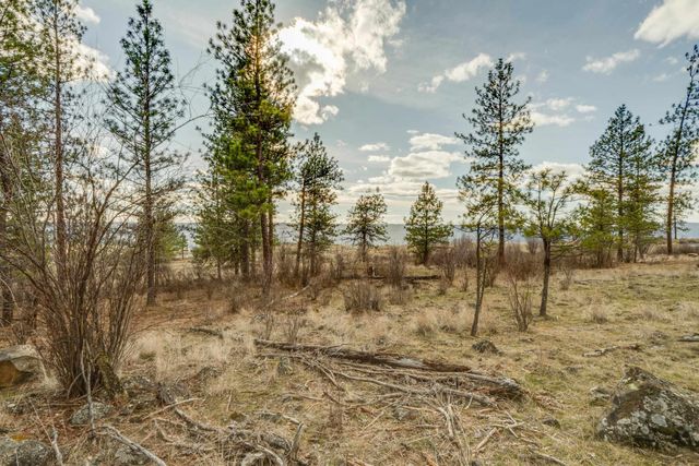 6XXX Pine Ridge Dr, Nine Mile Falls, WA 99026