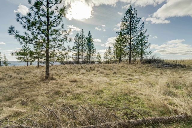 6XXX Pine Ridge Dr, Nine Mile Falls, WA 99026