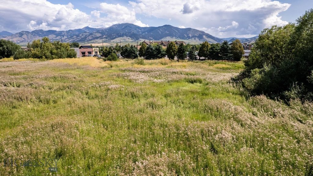 2050 Baxter Lane, Bozeman, MT 59718 photo 3