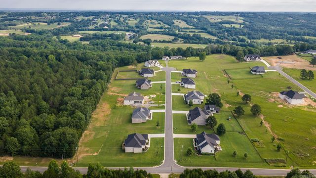 19 Avrey, Greenbrier, AR 72058