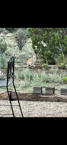 23 Camino Cerro Chato, Cerrillos, NM 87010