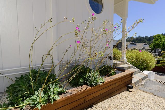 31 Dunslee Way, Scotts Valley, CA 95066