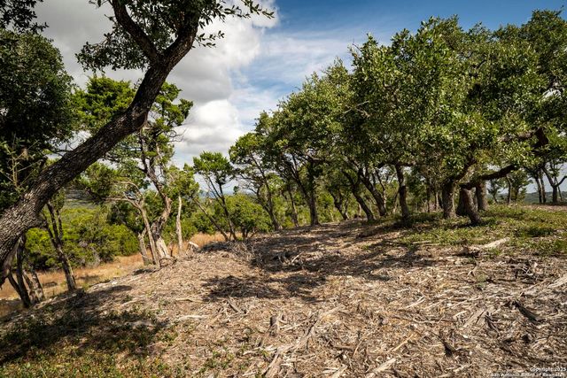 322 Mitchell Dr, Spring Branch, TX 78070