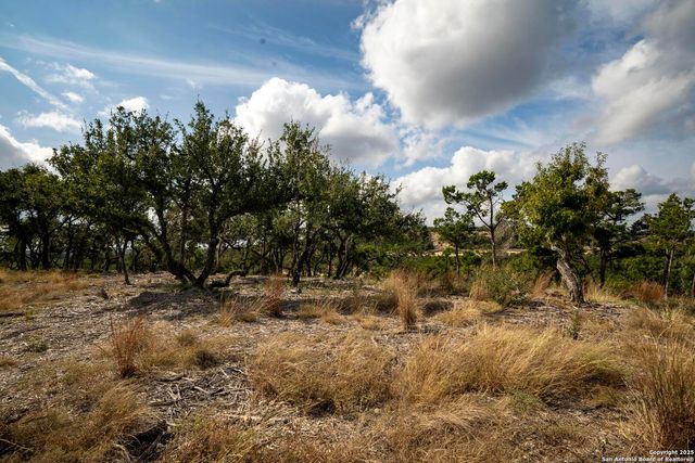 322 Mitchell Dr, Spring Branch, TX 78070