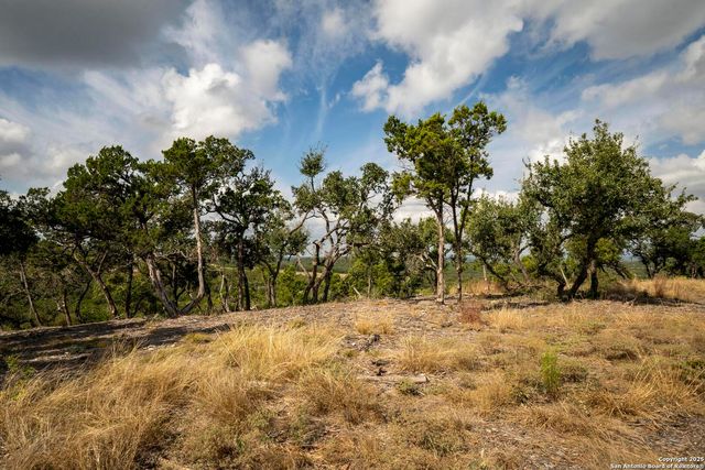 322 Mitchell Dr, Spring Branch, TX 78070