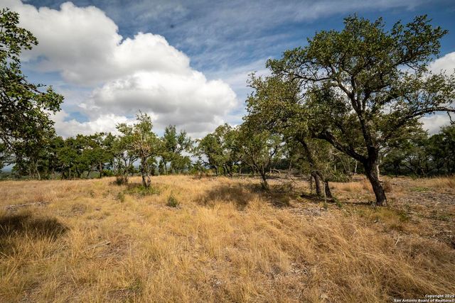 322 Mitchell Dr, Spring Branch, TX 78070