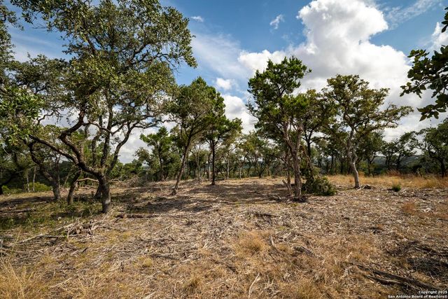 322 Mitchell Dr, Spring Branch, TX 78070