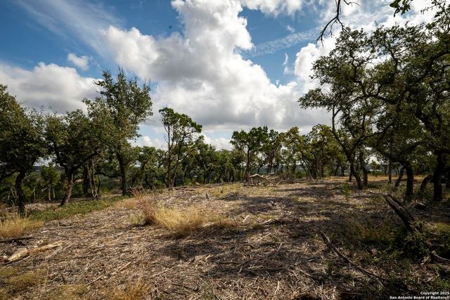 322 Mitchell Dr, Spring Branch, TX 78070